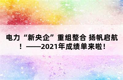 电力“新央企”重组整合 扬帆启航！——2021年成绩单来啦！